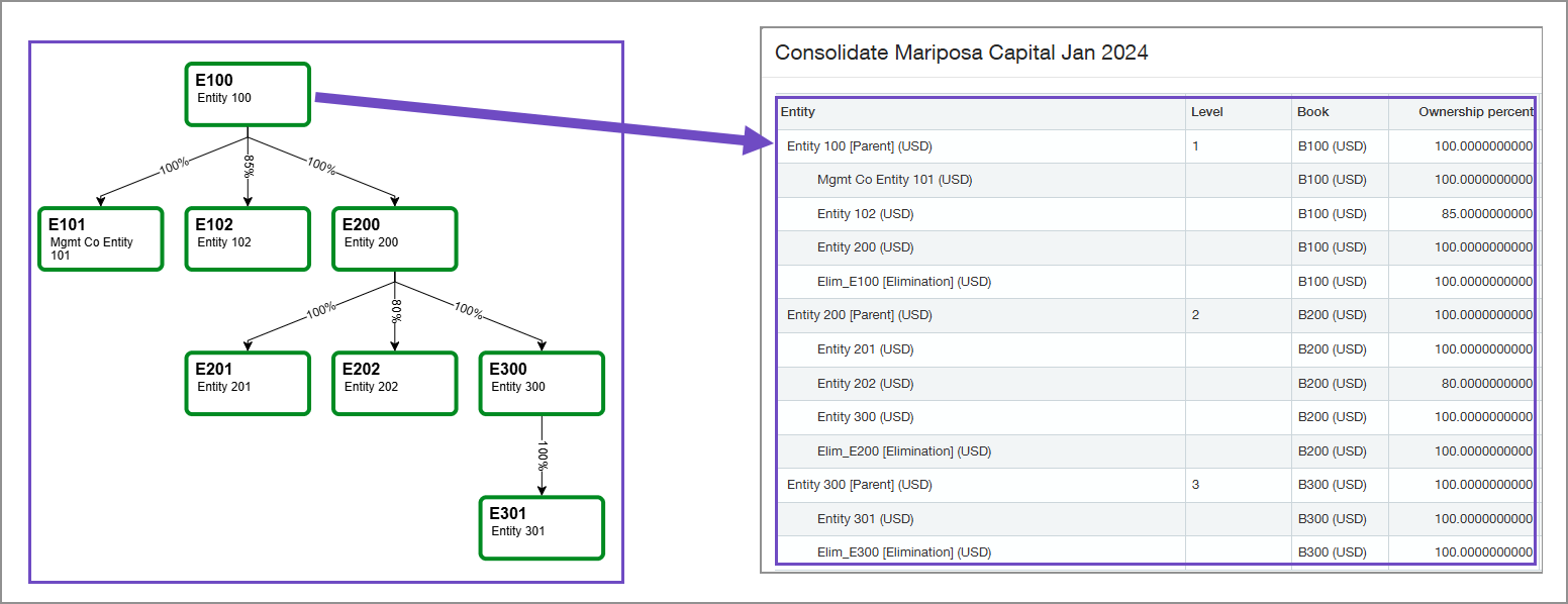 All entities are being consolidated for the entity E100 reporting group.