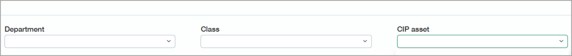 CIP assets The CIP assets dialog is expanded. This is where you can select an existing asset or Add a new asset.